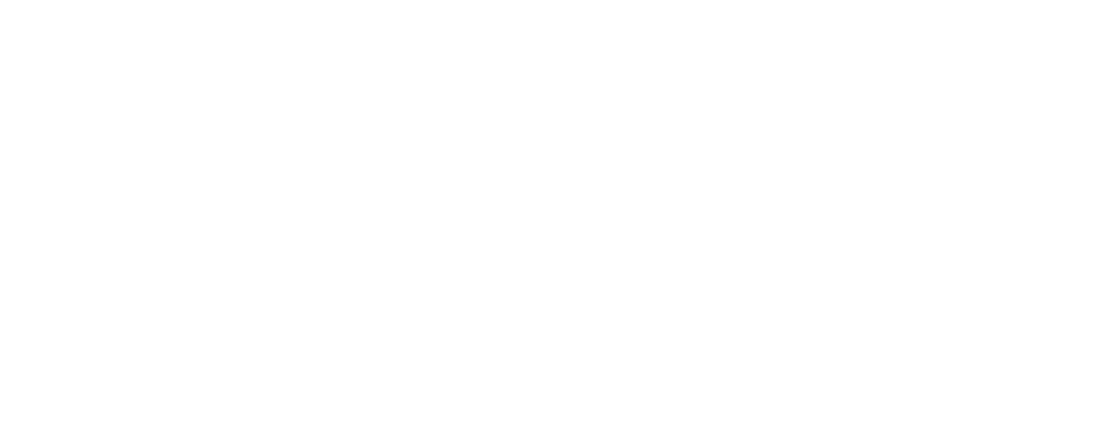 betonzaun-wetel-white-logo-2022