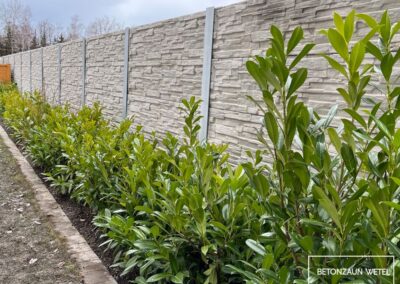 betonzaun-sichtschutz-wetel-048
